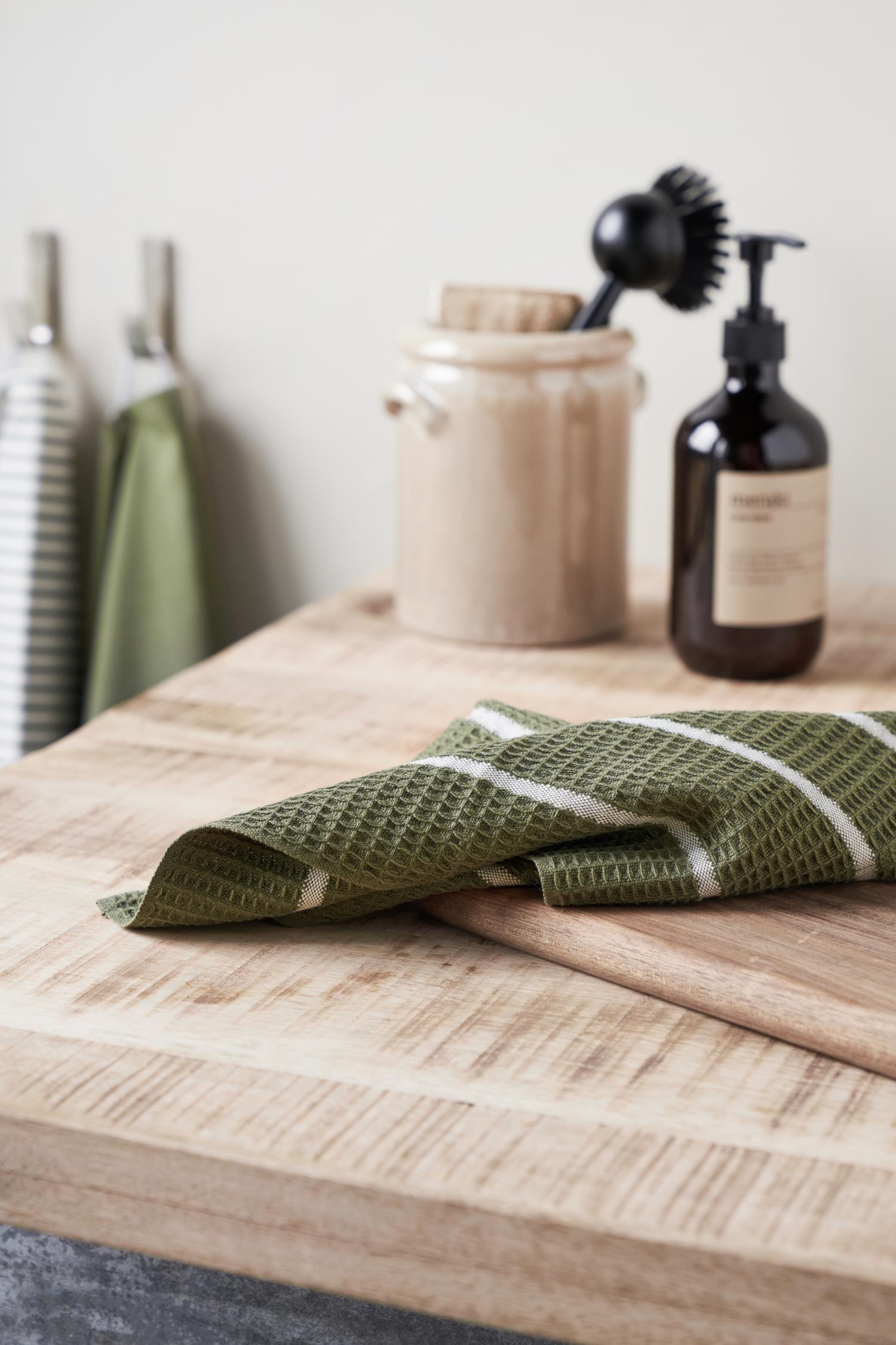 rena dishcloths set/2 green