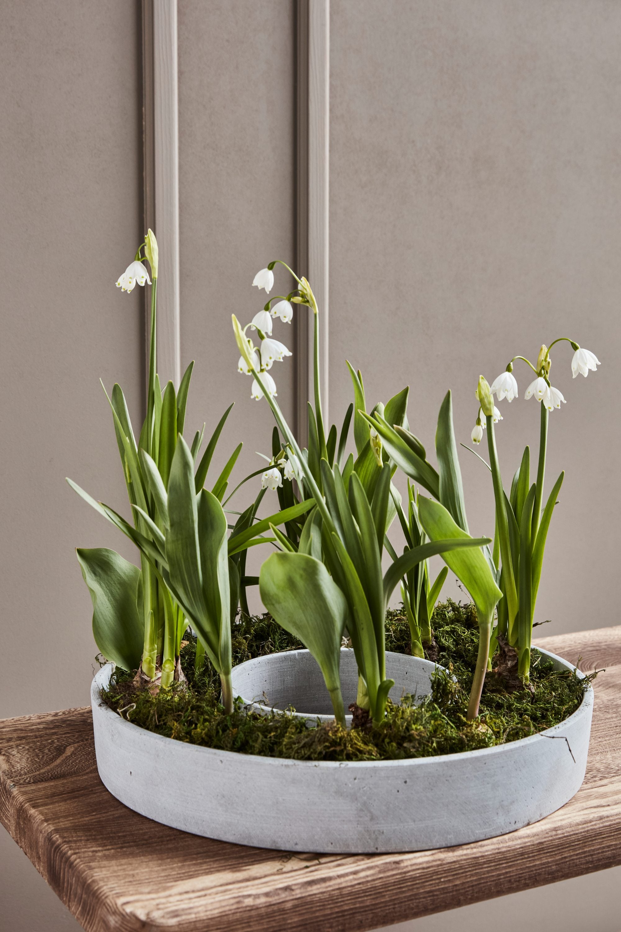 the ring candlestand planter
